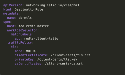 Featured image of post Istio를 이용해 데이터베이스에 mTLS로 인증하기 - Redis 예시