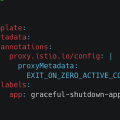 When your istio proxy containers terminate before your application containers gracefully shutdown, try configuring EXIT_ON_ZERO_ACTIVE_CONNECTIONS